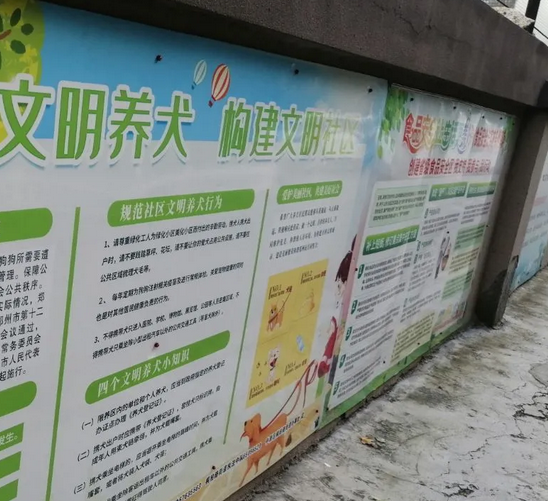 小广告乱张贴引关注 南京拟对100条街巷开展小广告标准化治理